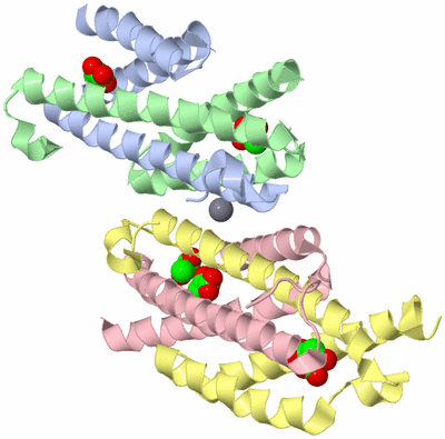 Image Biological Unit 4