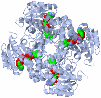 Image Biological Unit 1