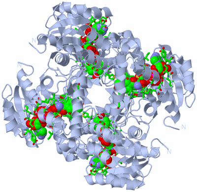 Image Biol. Unit 1 - sites