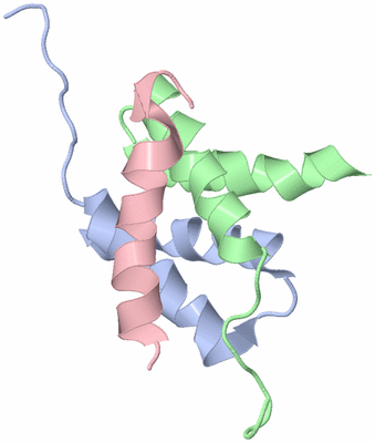 Image NMR Structure - model 1