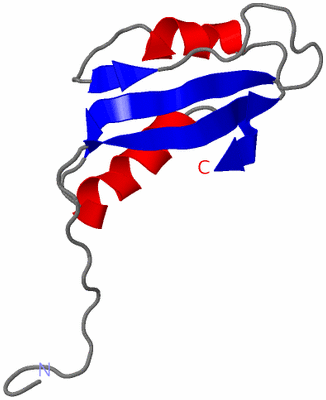 Image NMR Structure - model 1