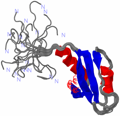 Image NMR Structure - all models