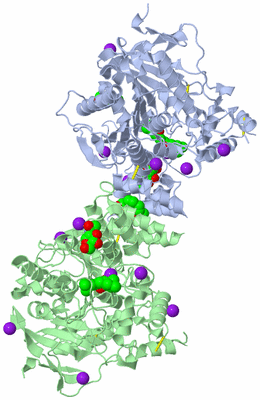 Image Asym./Biol. Unit