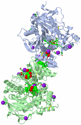 Image Asym./Biol. Unit - sites