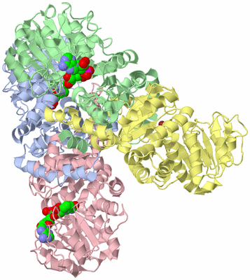 Image Asym./Biol. Unit