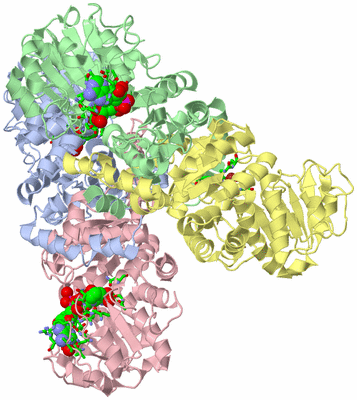 Image Asym./Biol. Unit - sites