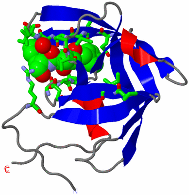 Image Asym. Unit - sites