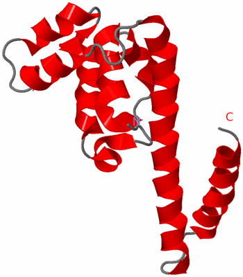 Image NMR Structure - model 1