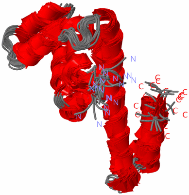 Image NMR Structure - all models