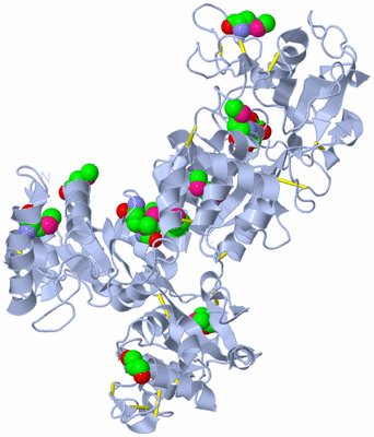 Image Biological Unit 1