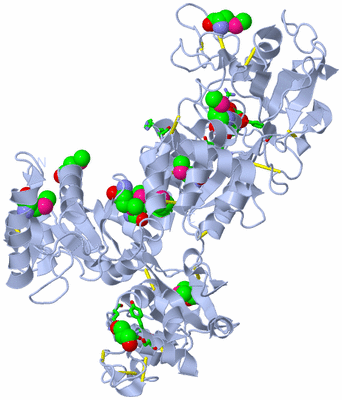 Image Biol. Unit 1 - sites