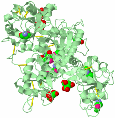 Image Biological Unit 2