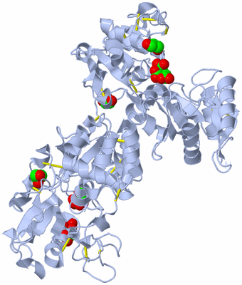 Image Biological Unit 1