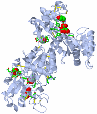 Image Biol. Unit 1 - sites