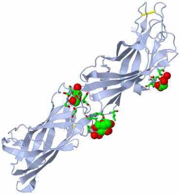 Image Biol. Unit 1 - sites