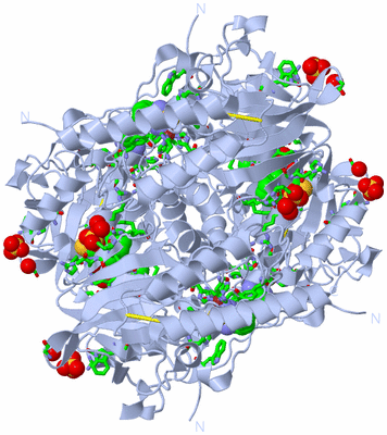 Image Biol. Unit 1 - sites