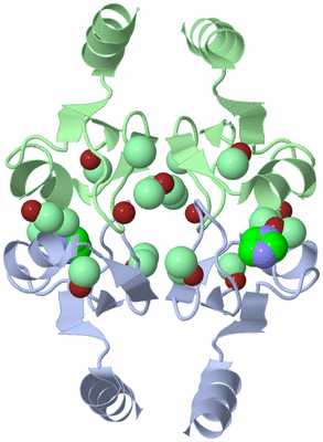 Image Biological Unit 3