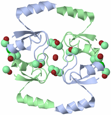 Image Biological Unit 4