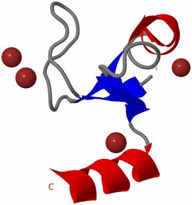 Image Asymmetric Unit