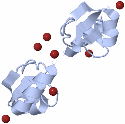 Image Biological Unit 3