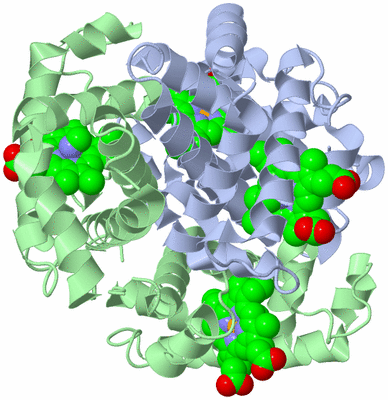 Image Biological Unit 2