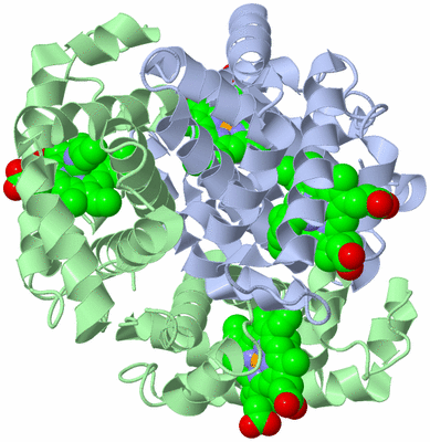 Image Biological Unit 2