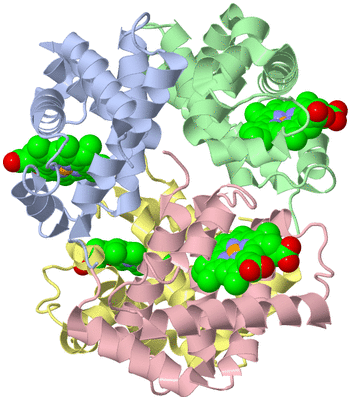 Image Biological Unit 1