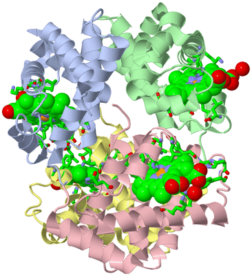 Image Biol. Unit 1 - sites