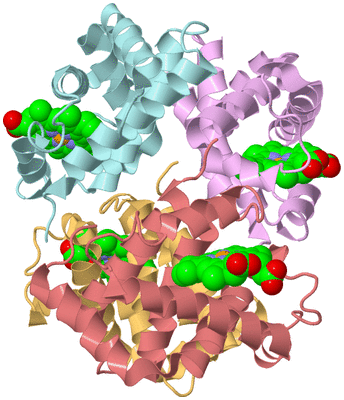 Image Biological Unit 2