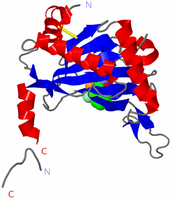 Image Asym./Biol. Unit