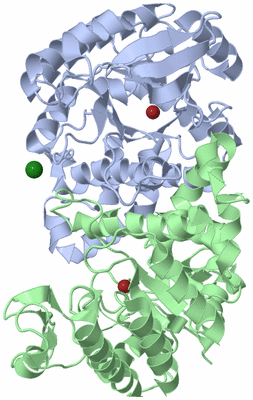 Image Biological Unit 1