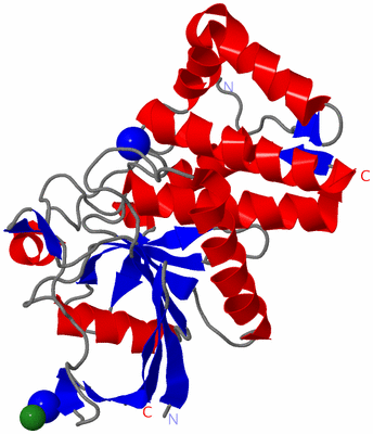 Image Asym./Biol. Unit