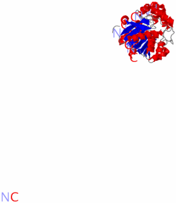 Image Theoretical Model