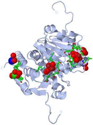 Image Biol. Unit 1 - sites