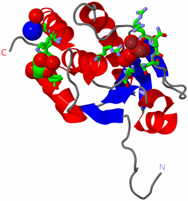 Image Asym. Unit - sites