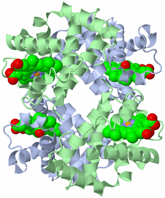 Image Biological Unit 1