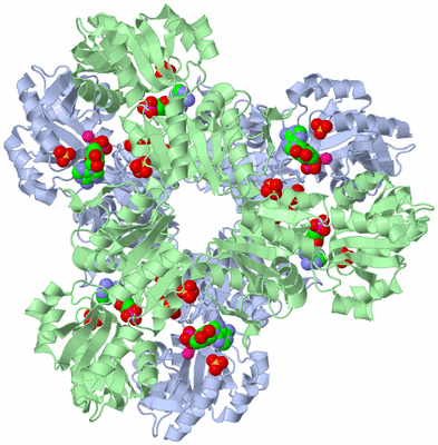 Image Biological Unit 1