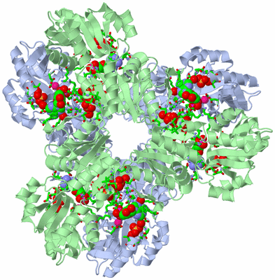 Image Biol. Unit 1 - sites