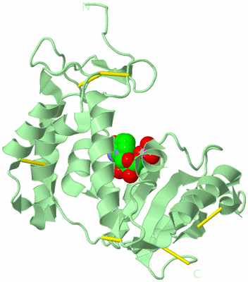 Image Biological Unit 2