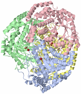 Image Asym./Biol. Unit