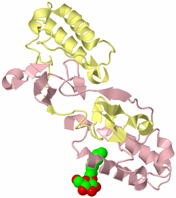 Image Biological Unit 2