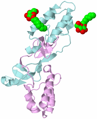 Image Biological Unit 3