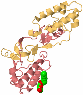 Image Biological Unit 4