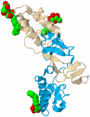 Image Biological Unit 5