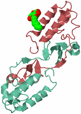 Image Biological Unit 6