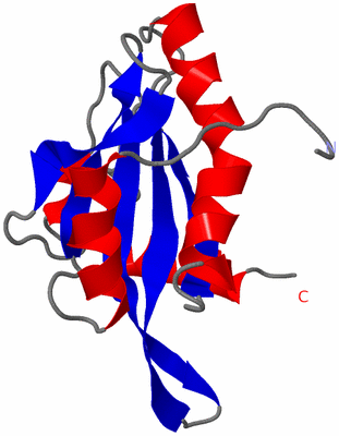 Image NMR Structure - model 1