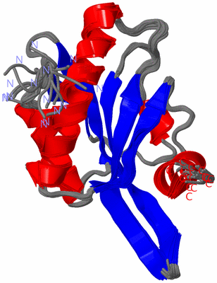 Image NMR Structure - all models