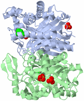 Image Asym./Biol. Unit