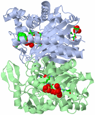 Image Asym./Biol. Unit - sites