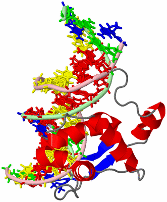 Image NMR Structure - model 1